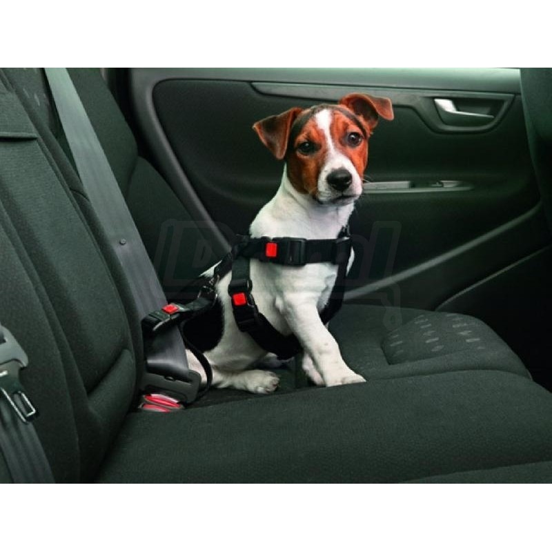 Bezpečnostní pás vel. XL, černý