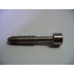 Středový šroub s těsněním nerez, imbus 6 pro repasi k 40 102 - 40 104