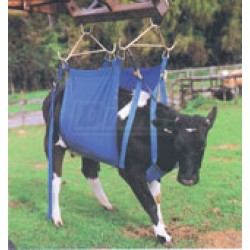 Zvedák krav DAISY-LIFTER - určeno pro krátkodobou podporu krav po těžkém porodu