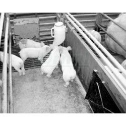 Napáječka niplová závěsná, PRONA, 4,5l