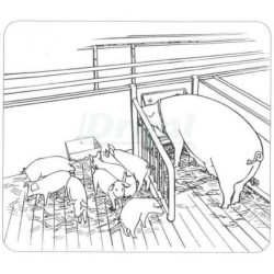 Samokrmítko plastové - pro příkrm selat na porodně 1 l, na stěnu