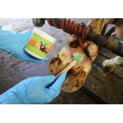 Podoseptan 450g pasta na paznehty a kopyta, k péči o střelku a mezipaznehtí, (limax, panarritium)