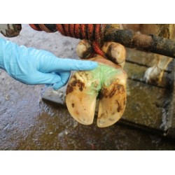 Podoseptan 450g pasta na paznehty a kopyta, k péči o střelku a mezipaznehtí, (limax, panarritium)