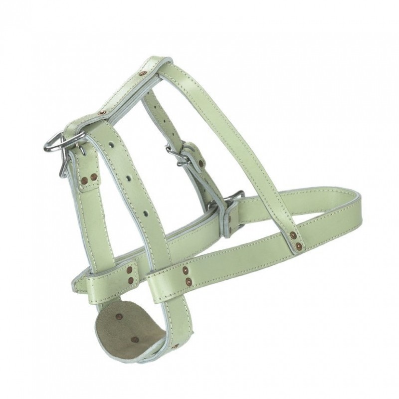 Ohlávka pro býky, 38mm, z těžké chromové kůže, dvakrát prošito, 3 x stahování na pevnou páskovou sponu