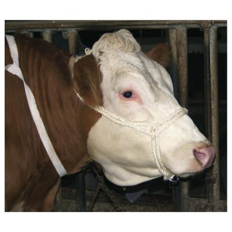 Ohlávka dvojitá ze sisalu s kroužkem