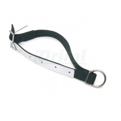 Obojek pro ovce a kozy, nylon, zelený