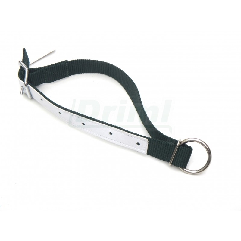 Obojek pro ovce a kozy, nylon, zelený