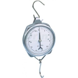 Rychlováha do 50  kg,  po 200g,  se 2 háky
