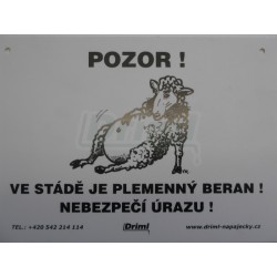 Pozor ! Ve stádě je plemenný beran