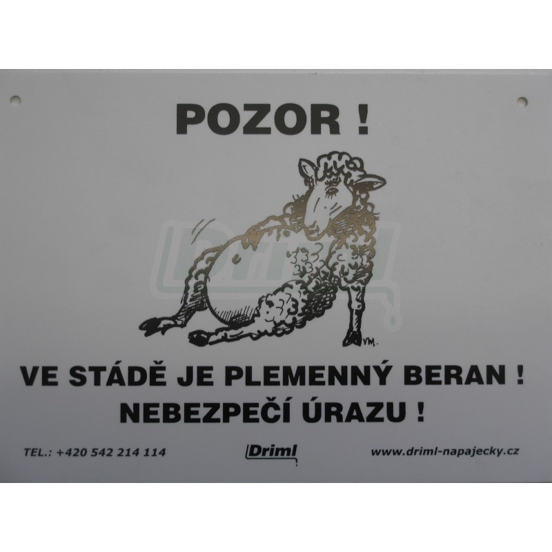 Pozor ! Ve stádě je plemenný beran