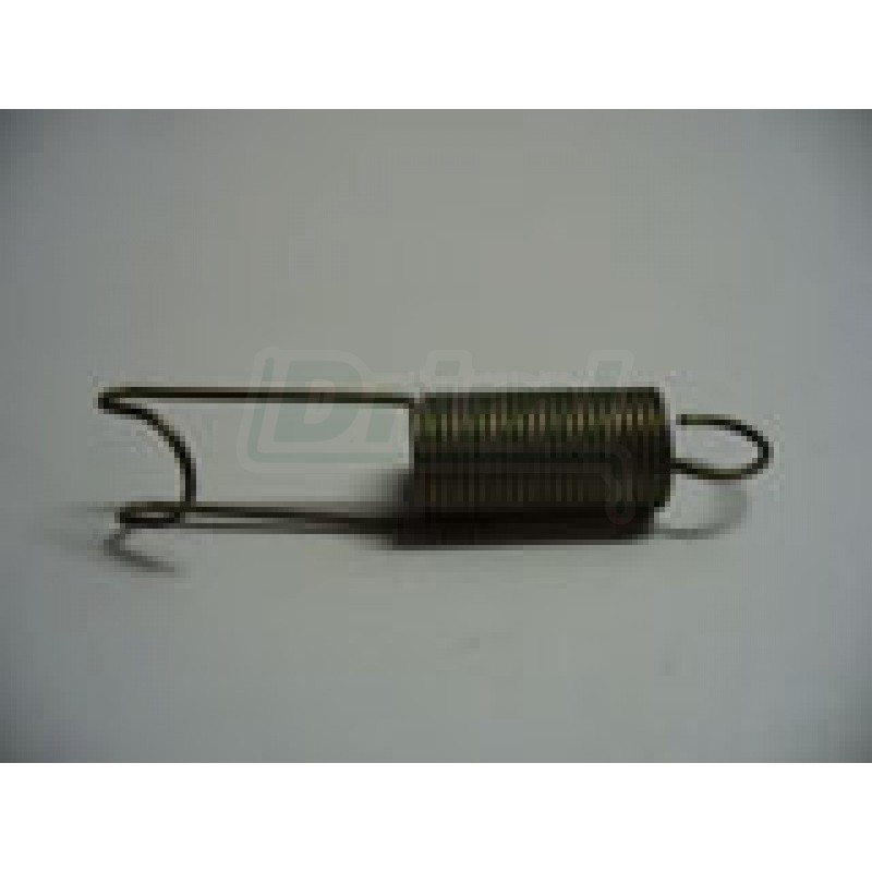 Pružina závěsná k 10102