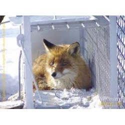 Past na lišky, psy, mývaly atd. 160x30x40 cm