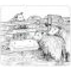 Krmné koryto pro prasata, ovce, kozy.    77 cm, 26 l, hloubka 380 mm, zelené