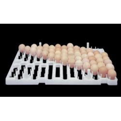 Kontejner na slepičí a kachní vejce 72 ks pro Líhně Merkurius - Pegas