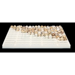 Výměnný přenosný kontejner na vejce křepelky