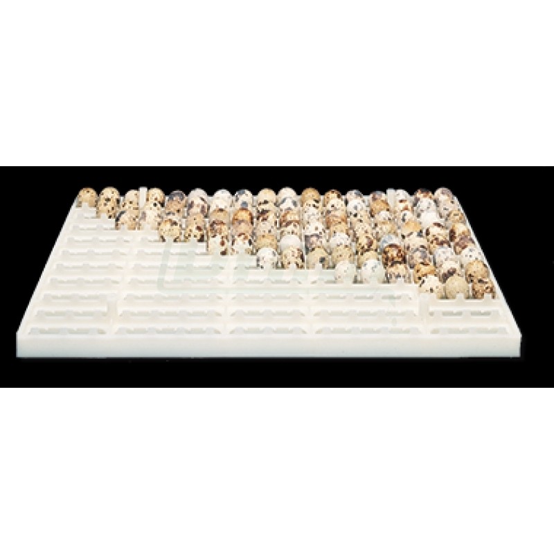 Výměnný přenosný kontejner na vejce křepelky