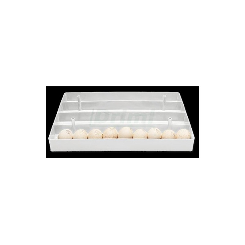 Výměnný přenosný kontejner na vejce husy