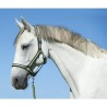 Stájová ohlávka pro koně, vel. 1, nylon, různé barvy