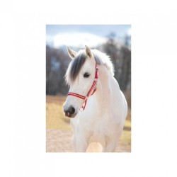 Stájová ohlávka pro koně, vel. 2 (cob), nylon