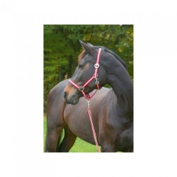 Stájová ohlávka pro hříbata, vel.0, nylon, různé barvy