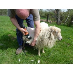 Clipper F7  kufříkový el. stříhací strojek na ovce