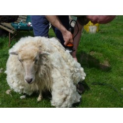 Clipper F7  kufříkový el. stříhací strojek na ovce