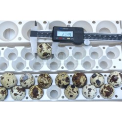 Automatický obraceč vajec na 42 slepičích vajec, včetně motorku 4W a adaptéru 220/12V