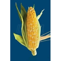 Šrotovník ERCOLINO  1500W,   4 síta 2,5   4,  6,  8m     90 - 360 kg /hod