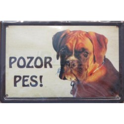 Pozor pes - boxer