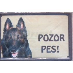 Pozor pes - belgický ovčák