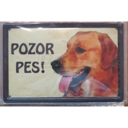 Pozor pes - zlatý retrívr