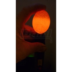 Prosvěcovačka vajec LED