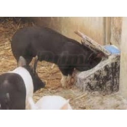 MIRAFOUNT 3410 termo napáječka pro prasata, 10-50ks