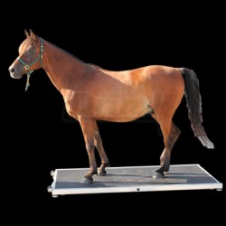 Váha na koně BOSCHE PW1500, do 1500 kg