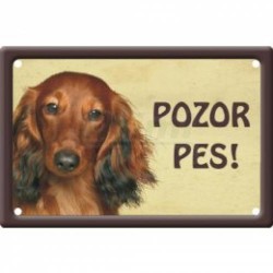 Pozor pes - jezevčík