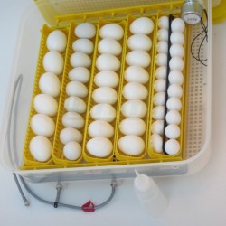 Náhradní přepážka pro Janoel 40