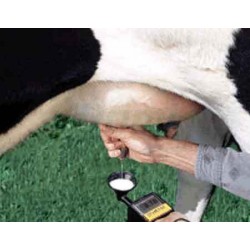 Tester Mastitidy 4Q, indikátor pro všechny čtvrtiny vemene.