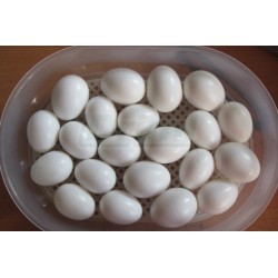 Líheň Janoel 12 digitální miniautomat