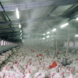 Vysokotlaký mlžič