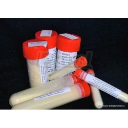 Penicillium roqueforti - SIGMA 17 - Coquard FR