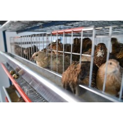 Průchozí žlab pro tenzometrickou váhu komplet, pozink