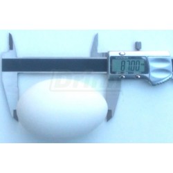 Podkladek pod husy sádrový