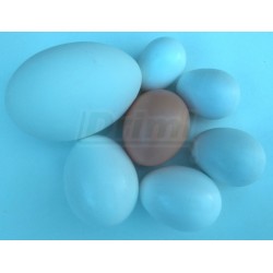 Podkladek pod husy sádrový