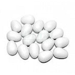 Podkladek pro papoušky