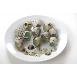 Nůžky na křepelčí vejce