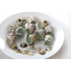 Nůžky na křepelčí vejce