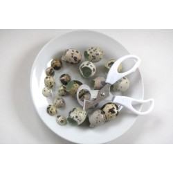 Nůžky na křepelčí vejce