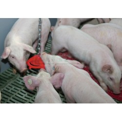 Antistresový kousací disk