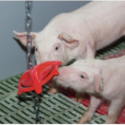 Antistresový kousací disk