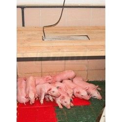 Sálavé topné těleso pro odchov mláďat-SunnyBoy-100W